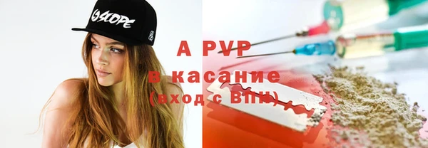 крисы Алексин